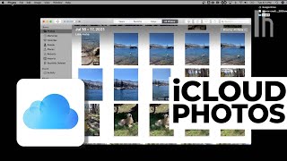 How to Organize All Your Photos on iCloud  Quick Fix [upl. by Lehcsreh]