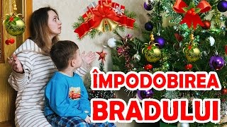 Impodobirea Bradului 2016 Alex si Mama impodobesc Bradul de Craciun [upl. by Eiramanin]