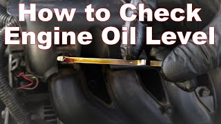 How to Check Your Oil Level amp Read Your Dipstick [upl. by Andria]