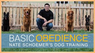 Basic Obedience Dog Training Course  FULL COURSE FREE on YouTube [upl. by Larner]