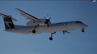 Inaugural Westjet Encore Dash Q400 Landing  Takeoff at Quebec City YQB [upl. by Max774]