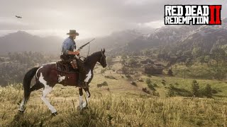 11 RED DEAD REDEMPTION  AO VIVO  PORTUGUÊS LEGENDADO [upl. by Anauqaj]