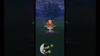 Shiny Hoothoot  Pokémon GO shorts [upl. by Aical]