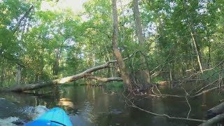 Caught On Camera Alligator Attacks Kayaker [upl. by Hisbe477]