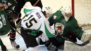 Fresno Monsters NAHL Senior Tribute Video 2011 [upl. by Cleveland]