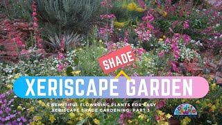 Xeriscaping in shade Part 3 of our Xeriscaping garden series [upl. by Mehalick]