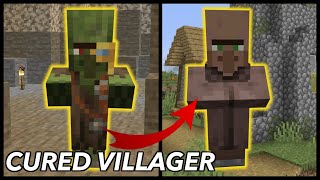 How To Cure Zombie Villagers In Minecraft [upl. by Arabel]