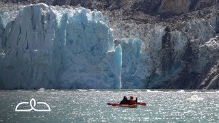 Endicott Arm amp Dawes Glacier  Alaska [upl. by Siwel674]