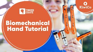 Build a Biomechanical Hand  Tinker Crate Project Instructions  KiwiCo [upl. by Eiduj]