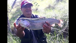 RÍO TAJUÑA COTO DE PESCA DE LA TAJERA [upl. by Eltsyrk814]