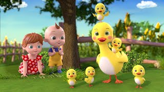 Five Little Ducks Went Out One Day Song  Kids Songs  Beep Beep Nursery Rhymes [upl. by Anada]