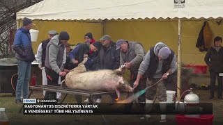 Hagyományos disznótorokra várták ma a vendégeket az ország több pontján [upl. by Artenek711]