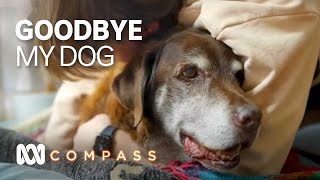 Honouring and treasuring the final days with our beloved dogs  Compass  ABC Australia [upl. by Corsetti8]