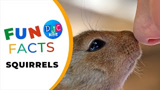 Squirrely Wonders 5 Nutty Facts Every Kid Should Know 🐿️🌰 Fun Squirrel Adventures [upl. by Phippen]