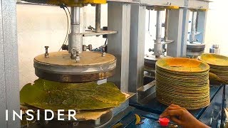 How Leaves Are Made Into Biodegradable Plates [upl. by Naujej]