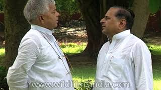 Mulayam Singh Yadav and Laloo Prasad Yadav come together [upl. by Vernen919]