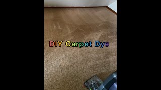 DIY Carpet Coloring Carpet Dye [upl. by Hirsch16]