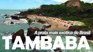 Tour Pela Praia de Tambaba na Paraíba  A mais exótica do Brasil [upl. by Dietrich]