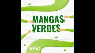 Mangas Verdes  Frenar futuras danas y disfrutar de BioCultura [upl. by Joela]