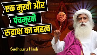 रुद्राक्ष पहनने के नियम और उनके लाभ Rules of wearing Rudraksha and their benefits Sadhguru Hindi [upl. by Siednarb324]