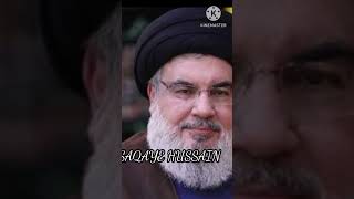 Alamdar na aaya trending yaali 20safarchehlumimamhussain hassannasrallah [upl. by Ycnaf63]