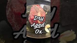 Dry Aged Ochse steak staytasty food foodie shorts [upl. by Lorrad]