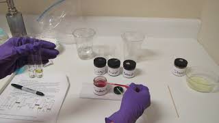 Digestive Chemistry 2 Sudan IV Lipid Test [upl. by Doran112]