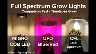 Full spectrum grow light comparison test  COB vs Red Blue LED vs CFL [upl. by Weiner]