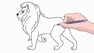 How to Draw a Lion Easy Step by Step [upl. by Anairdna383]