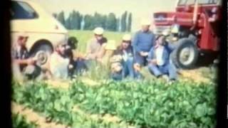 BERCIAL 1981 AGRICULTORES Y JORNALEROS TRABAJANDO EN EL CAMPO DE SOL A SOL HD [upl. by Naivat770]