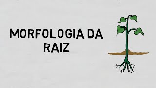 Morfologia da Raiz [upl. by Hasan702]