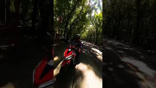 MAN MADE FOREST WITH DJI OSMO 3  MOTORYE motorye motoryeadventure [upl. by Acemat890]