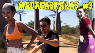 MADAGASKARAS 3 BAOBABAI IR VAIKAI KALBANTYS LIETUVIŠKAI [upl. by Epner577]