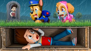 OH No SOS Ryder What Happened Paw patrol mighty pups full episode [upl. by Ulrich]