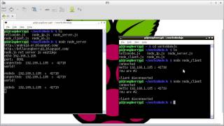 Nodejs server and client run on Raspberry Pi [upl. by Flor]