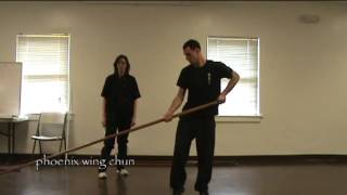 Wing Chun Pole 6 and a Half Points Identifying Techniques [upl. by Kcarb]