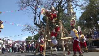 Danzas totonacas de origen prehispánico en Papantla [upl. by Remle]