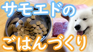 サモエドの晩ご飯をつくります！【カリカリと肉】 [upl. by Netnerb]