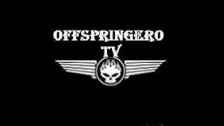 The Offspring Pass Me By demo new album [upl. by Oijile]