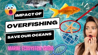 The Hidden Dangers of Overfishing [upl. by Otreblif]