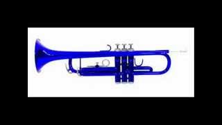 Trumpetsolo Blue Bayou [upl. by Landis]