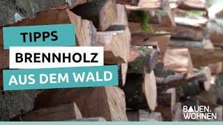 Tipps zum Brennholz aus dem Wald  BAUEN amp WOHNEN [upl. by Nevah]