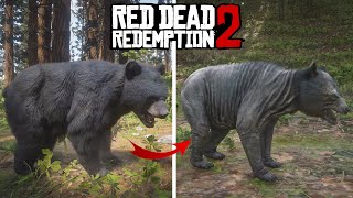 Red Dead Redemption 2  The Ultimate Beginners Guide [upl. by Dnomyaw]