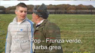 Flaviu Pop  Frunza verde iarba grea cu dedicatie pt Vasi Micle [upl. by Aivatnwahs]