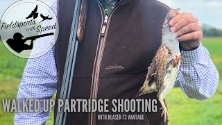 Partridge Shooting  Walked up Partridge with the Blaser F3 Vantage  Lots of Birds  Eley Hawk [upl. by Zsazsa]