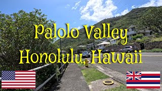 Honolulu Palolo Valley Neighborhood Tour  Hawaii USA [upl. by Eimar558]