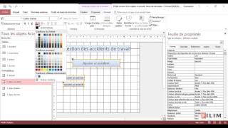 Access Formulaire d accueil [upl. by Kelwunn]