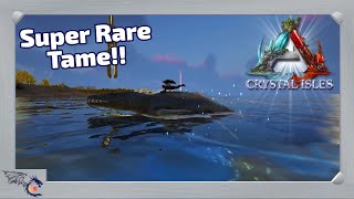 Taming A Rare Liopleurodon  ARK Crystal Isles 37 [upl. by Acinonrev]