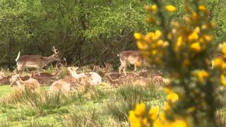 Activities at Chewton Glen [upl. by Tenay933]