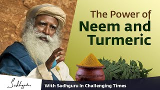 The Power of Neem and Turmeric [upl. by Charisse]